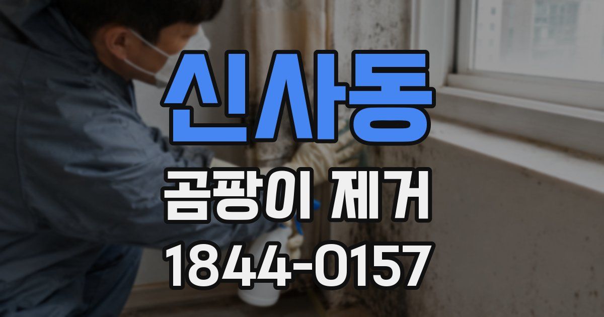 신사동 곰팡이 제거