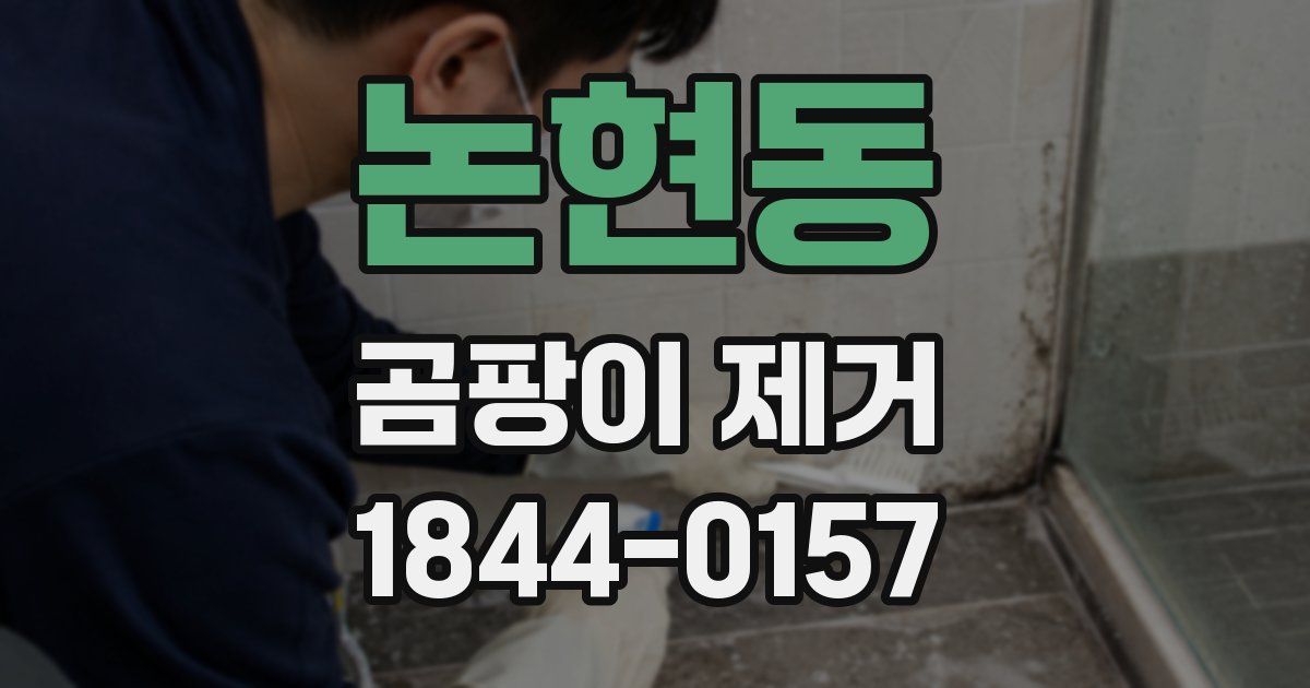 논현동 곰팡이 제거