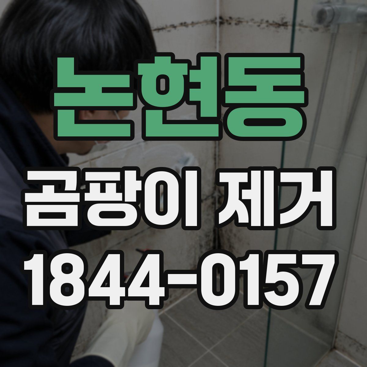 논현동 곰팡이 제거