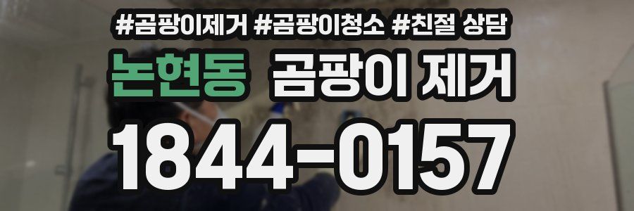논현동 곰팡이 제거