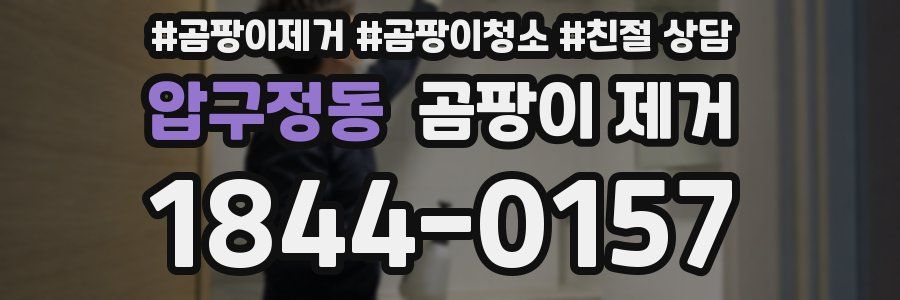 압구정동 곰팡이 제거