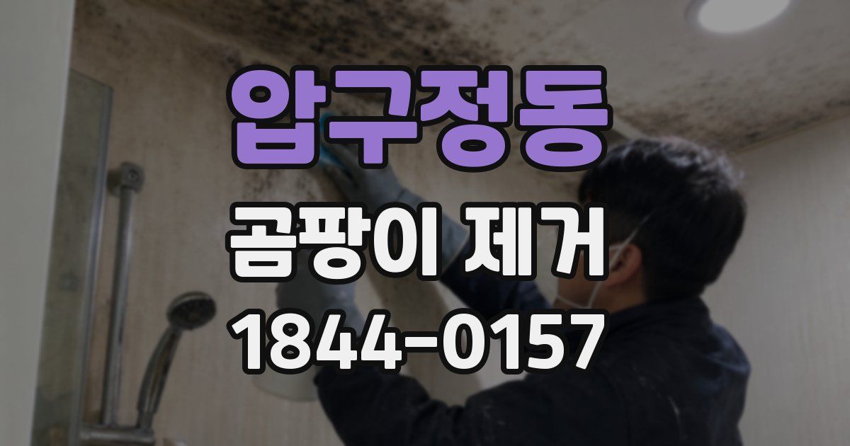 압구정동 곰팡이 제거