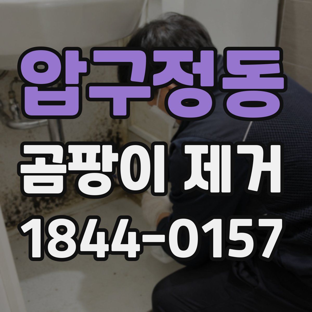 압구정동 곰팡이 제거