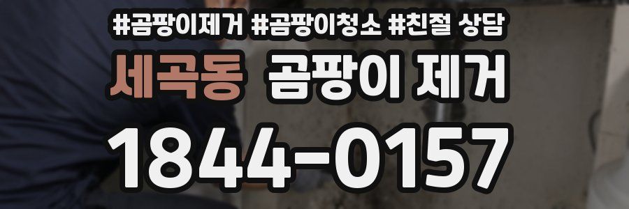 세곡동 곰팡이 제거