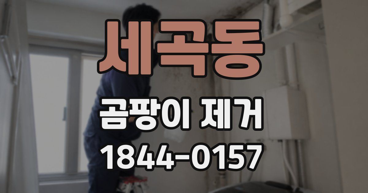 세곡동 곰팡이 제거