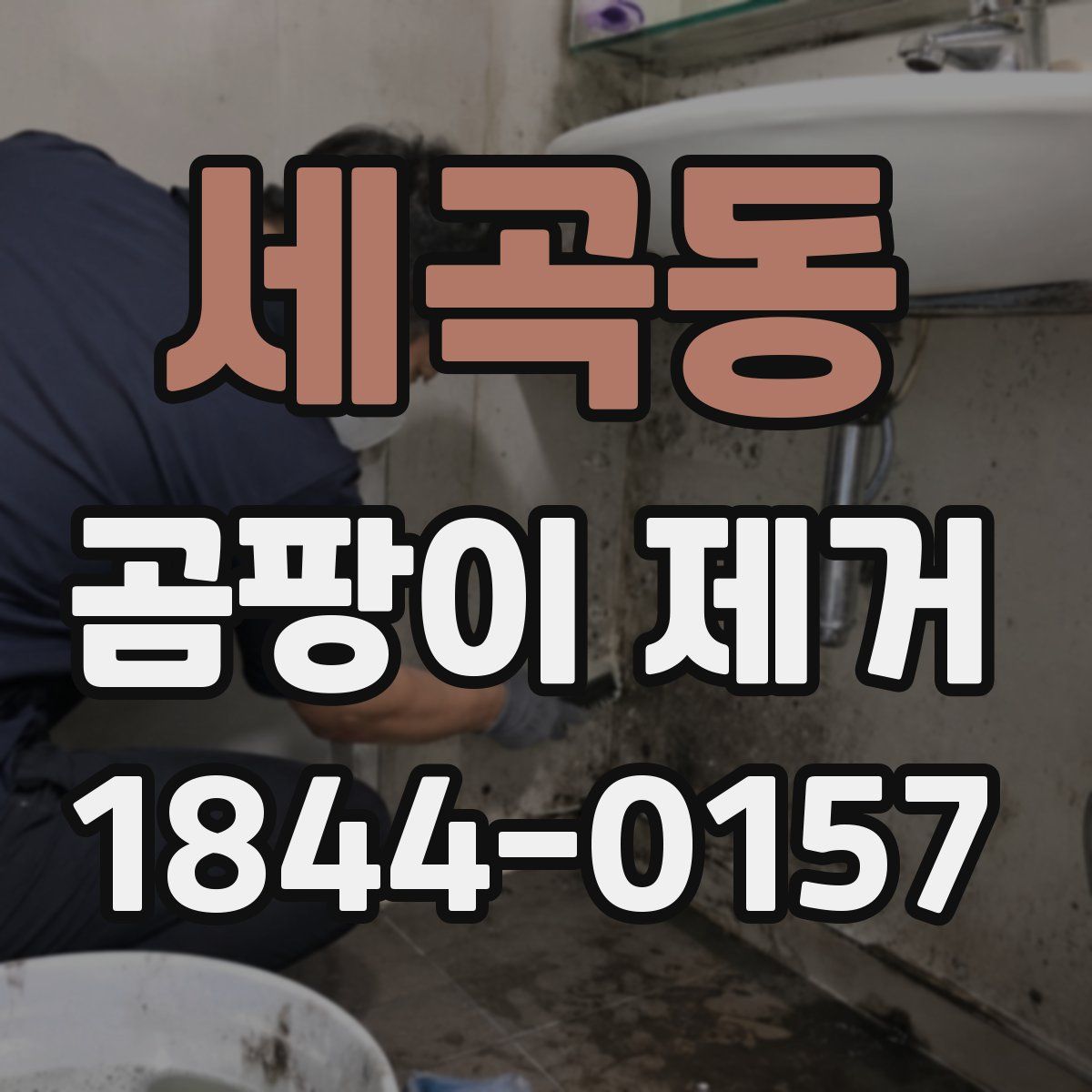 세곡동 곰팡이 제거