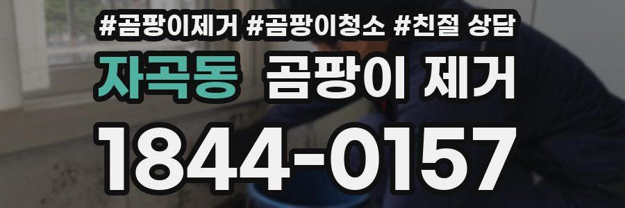 자곡동 곰팡이 제거