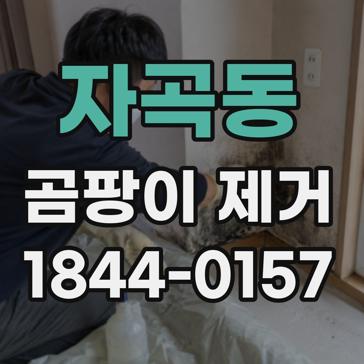 자곡동 곰팡이 제거