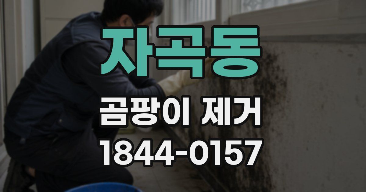자곡동 곰팡이 제거