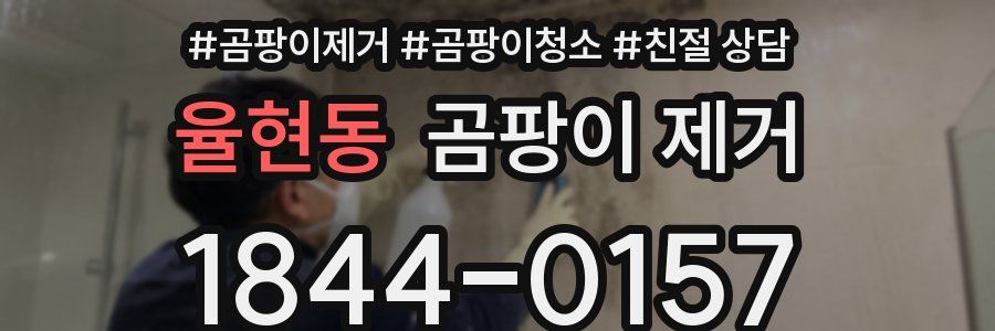 율현동 곰팡이 제거