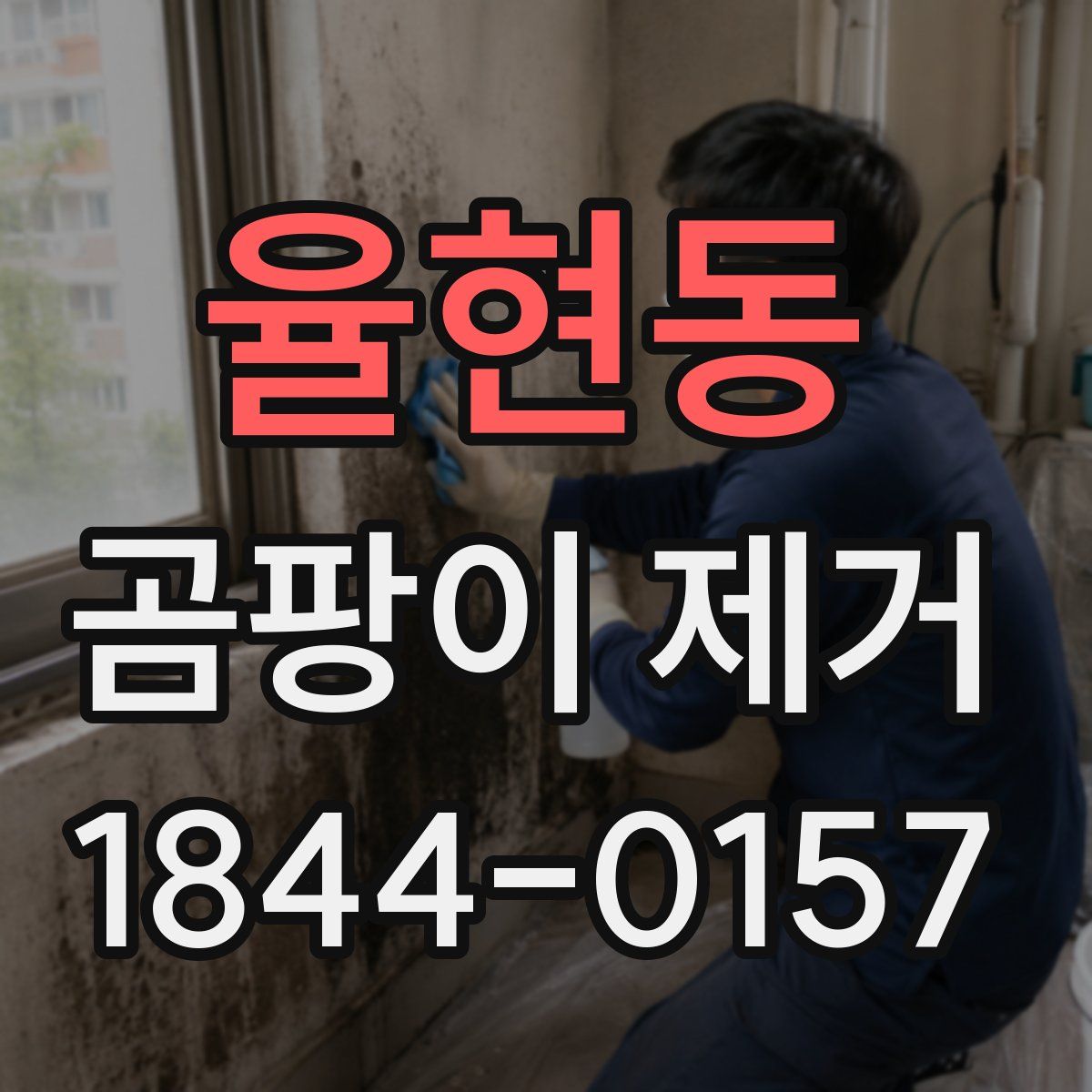 율현동 곰팡이 제거