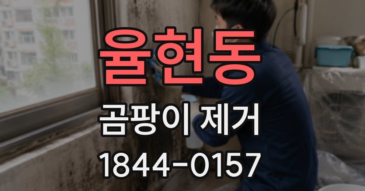 율현동 곰팡이 제거
