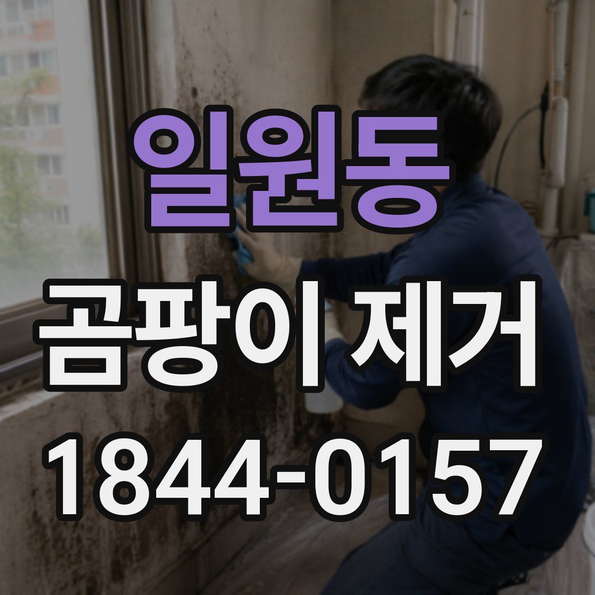 일원동 곰팡이 제거
