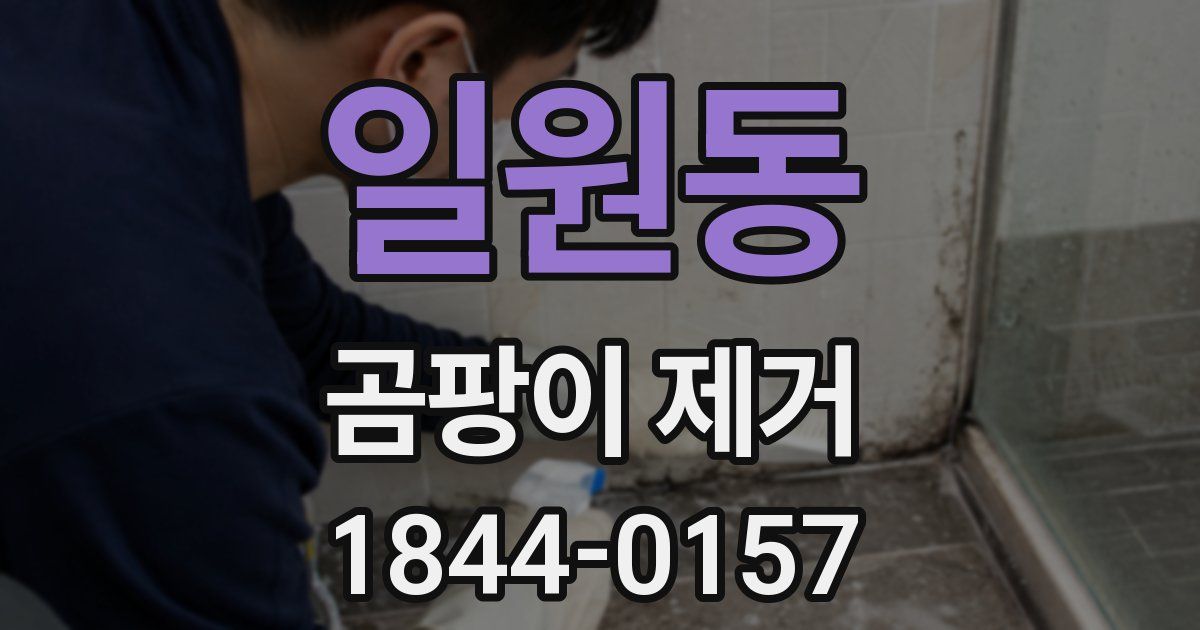 일원동 곰팡이 제거