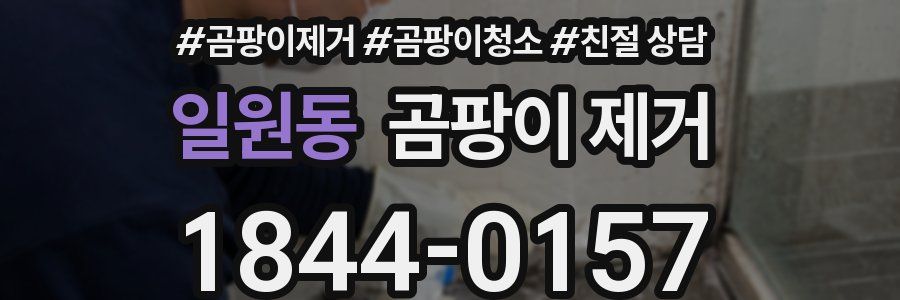 일원동 곰팡이 제거