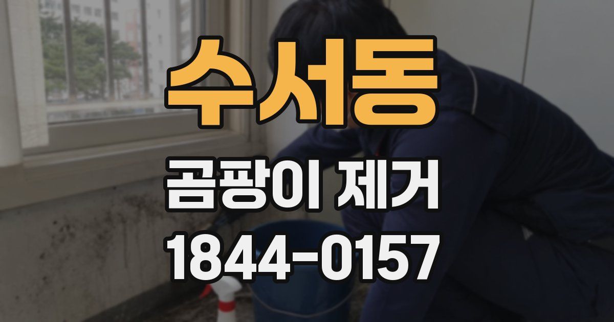 수서동 곰팡이 제거