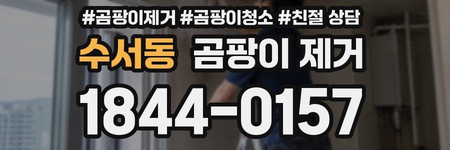 수서동 곰팡이 제거