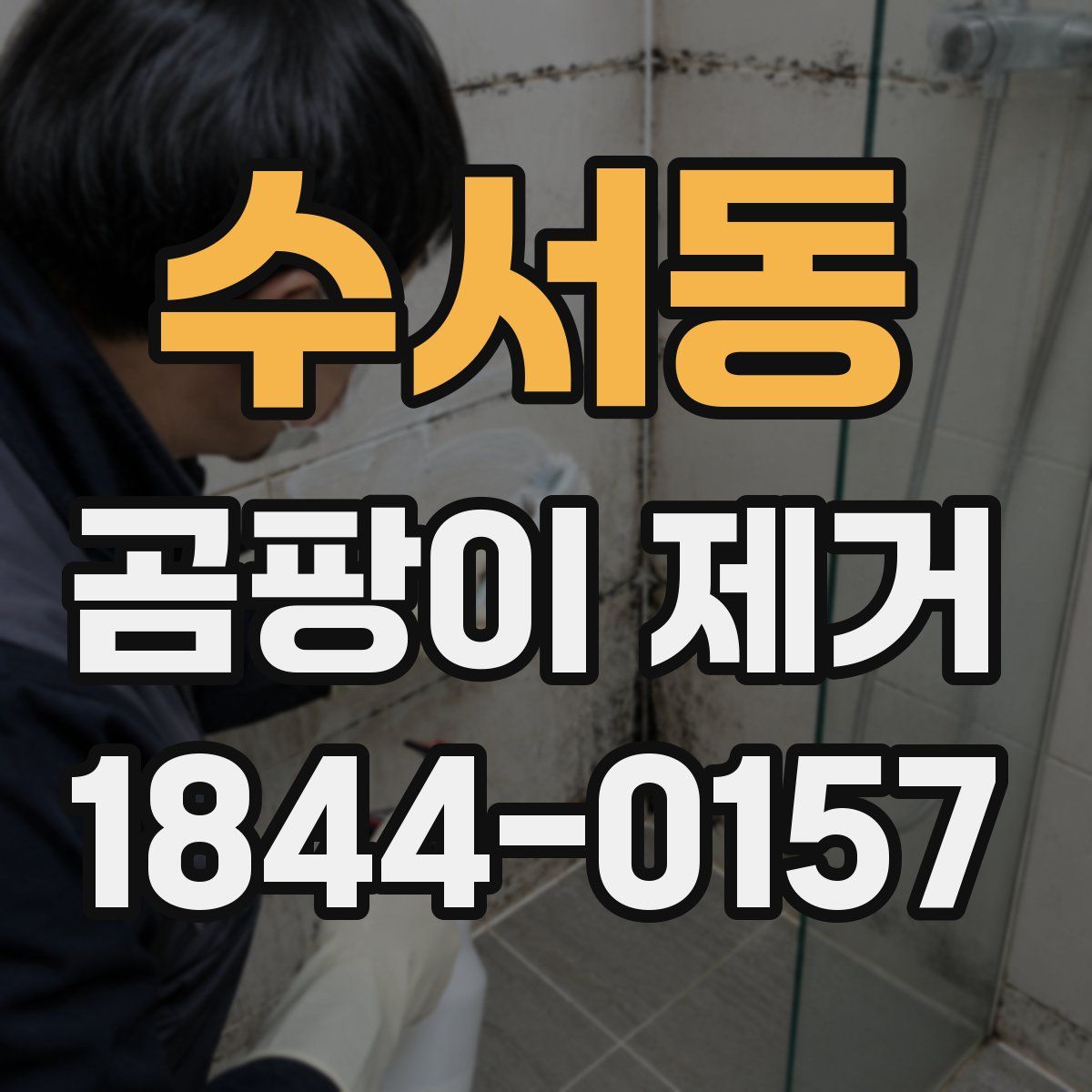 수서동 곰팡이 제거