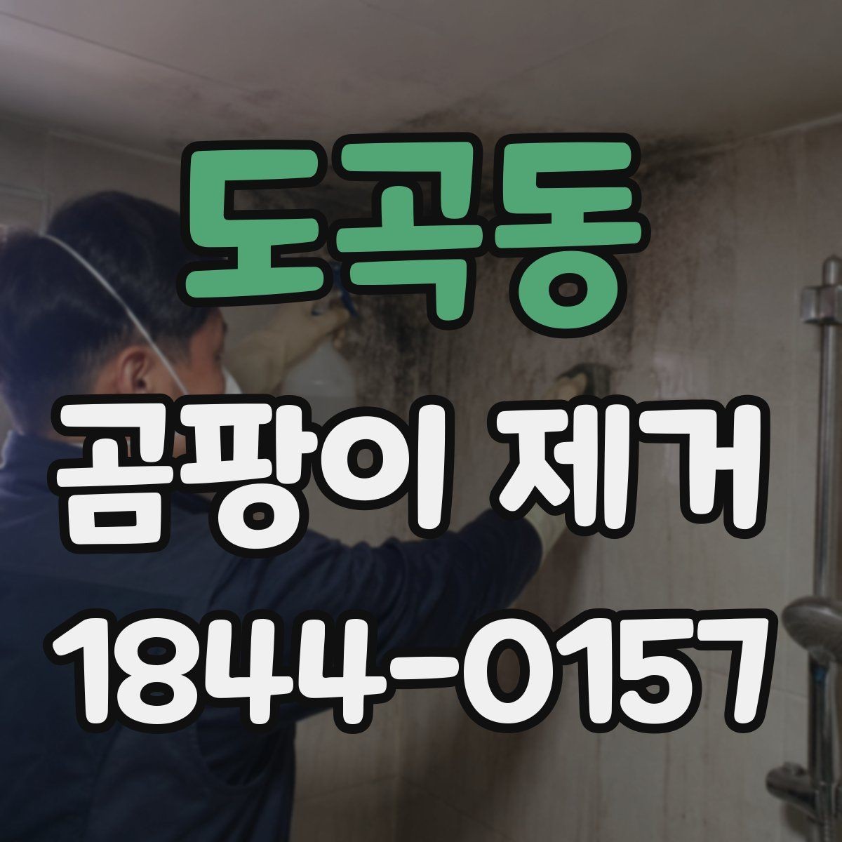 도곡동 곰팡이 제거 작은 면적과 넓은 면적의 차이