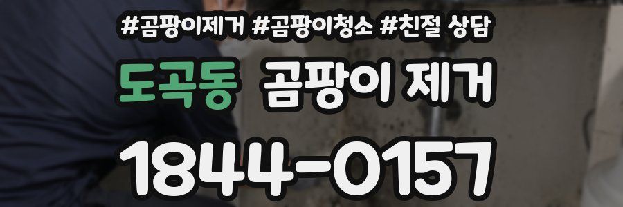 도곡동 곰팡이 제거
