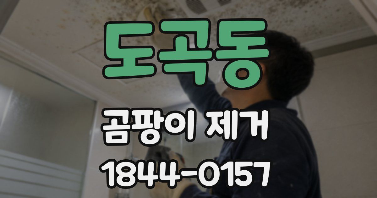 도곡동 곰팡이 제거