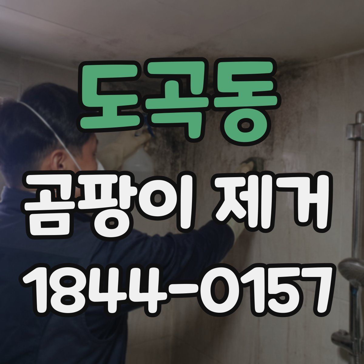 도곡동 곰팡이 제거