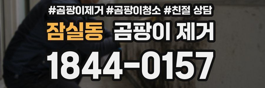 잠실동 곰팡이 제거
