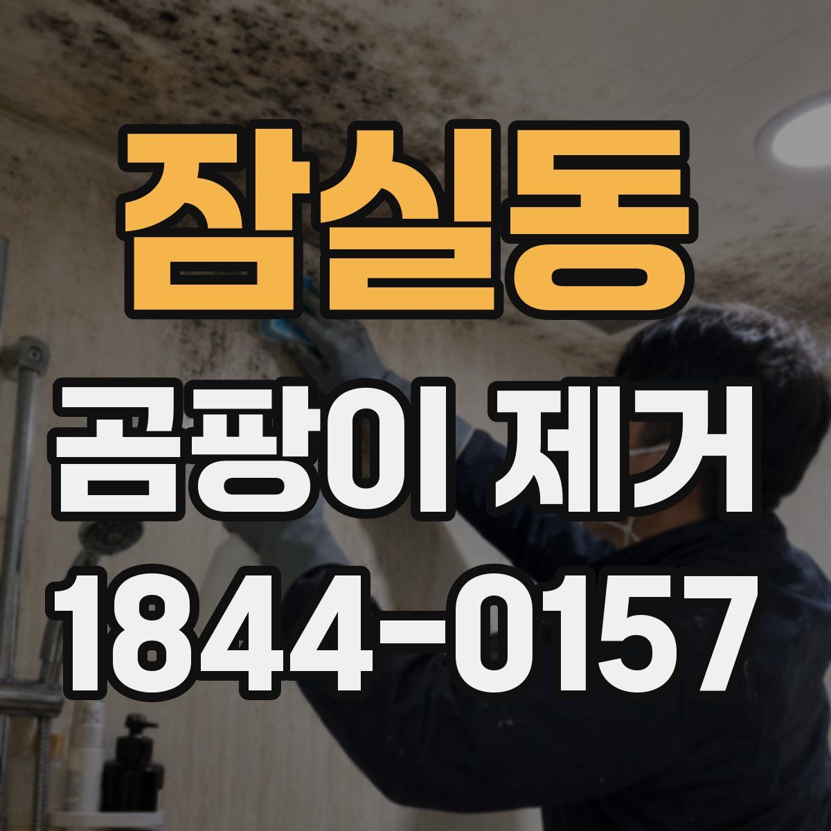 잠실동 곰팡이 제거