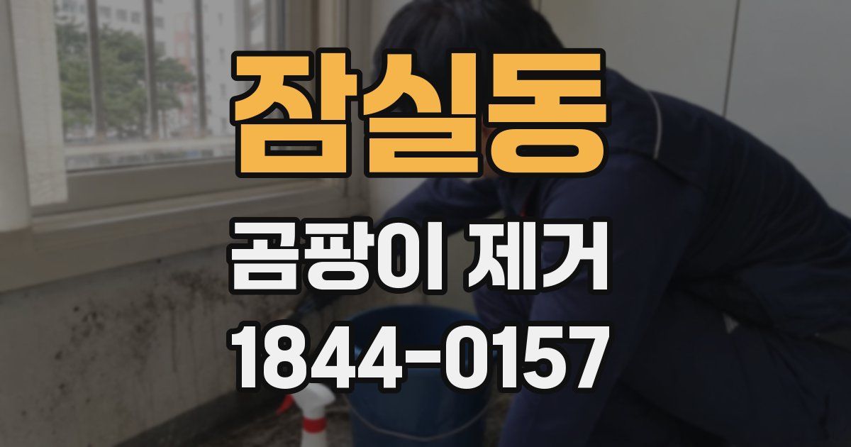 잠실동 곰팡이 제거