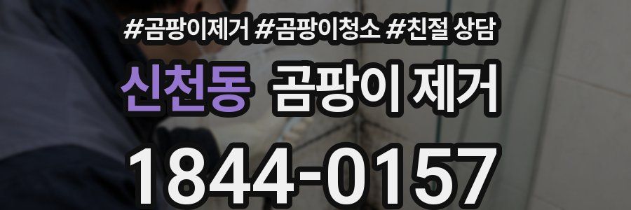 신천동 곰팡이 제거