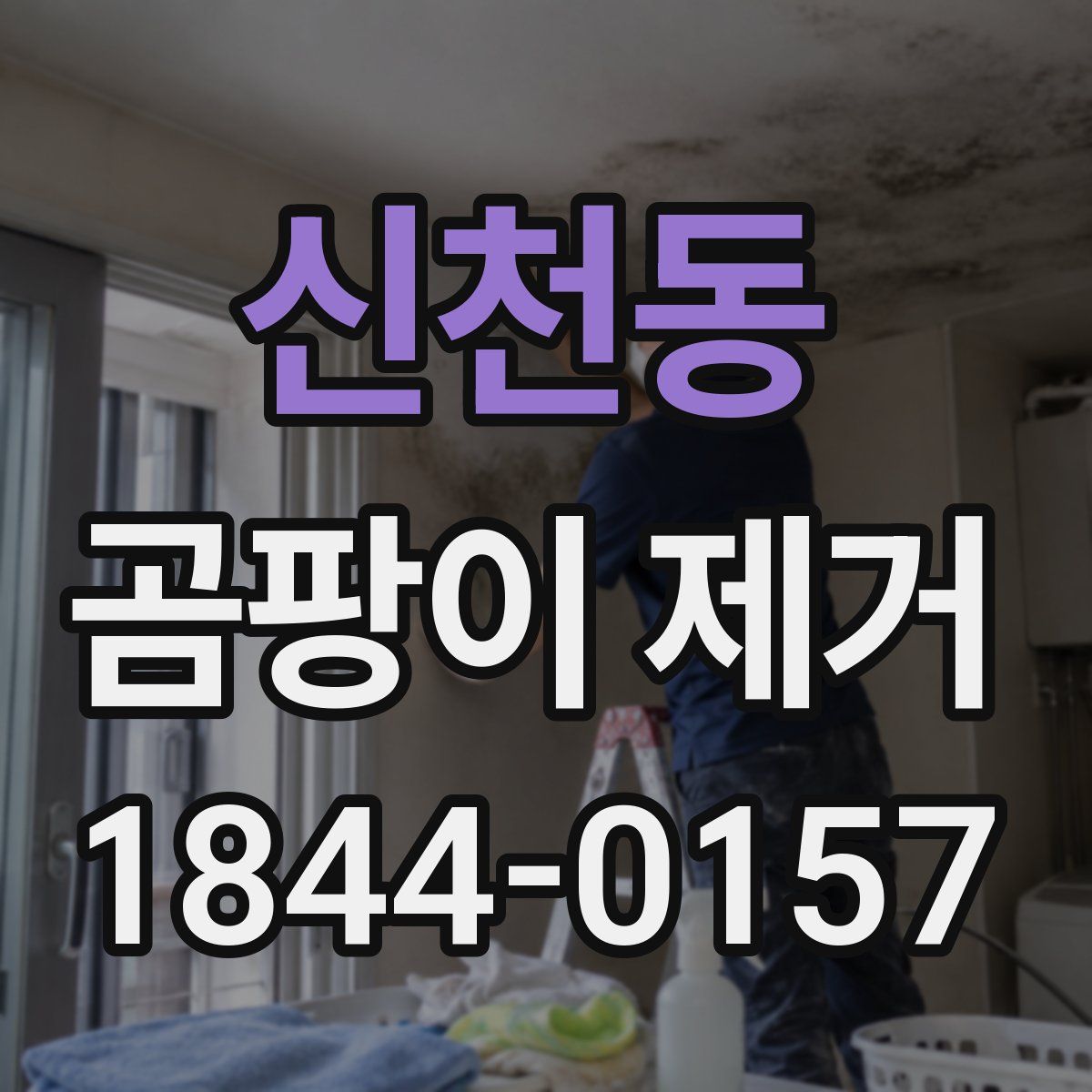 신천동 곰팡이 제거