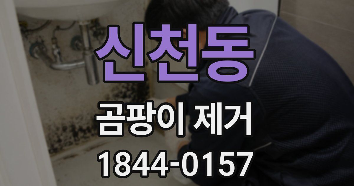신천동 곰팡이 제거