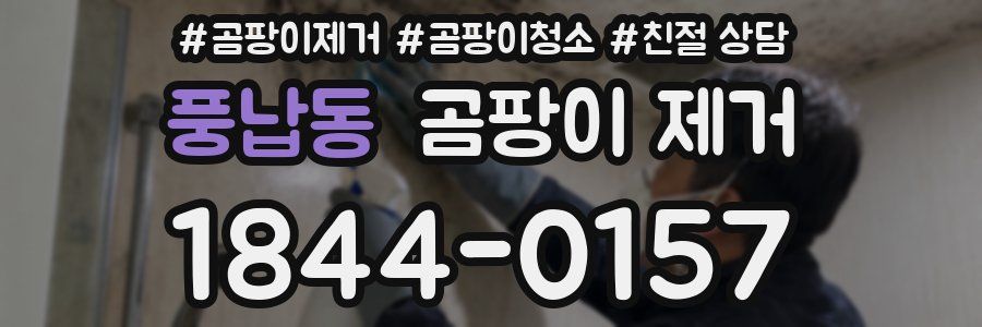 풍납동 곰팡이 제거