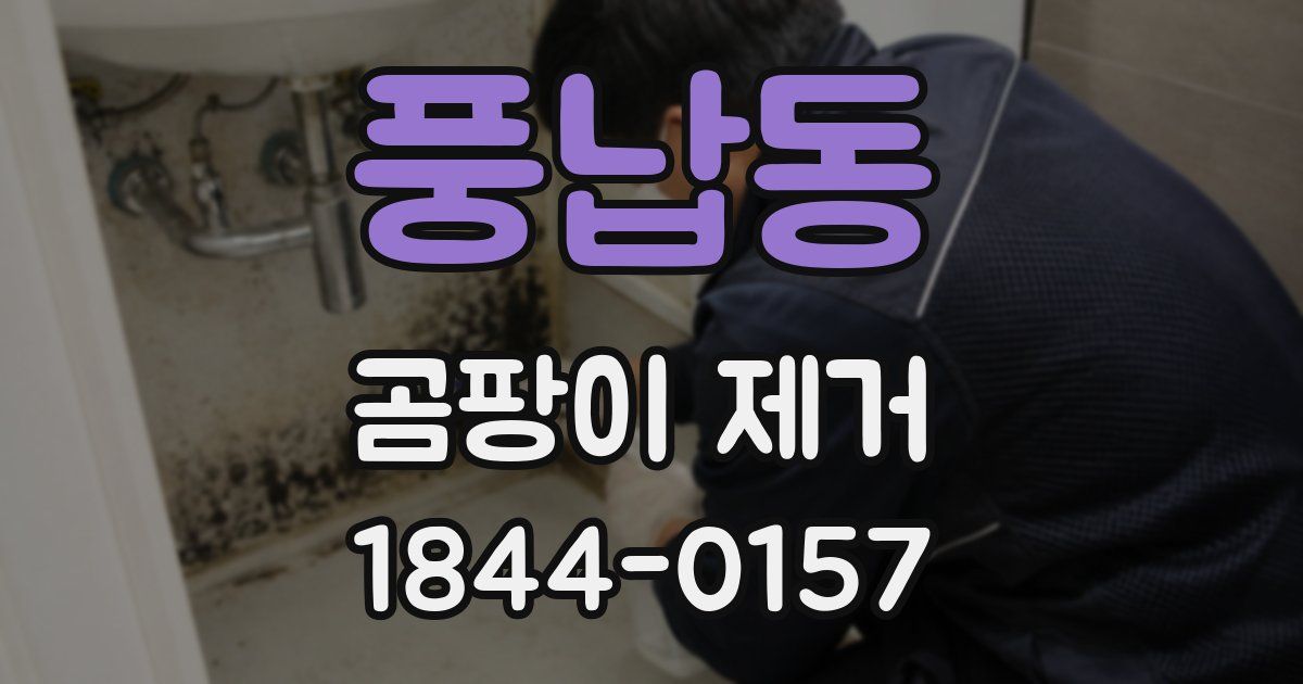풍납동 곰팡이 제거