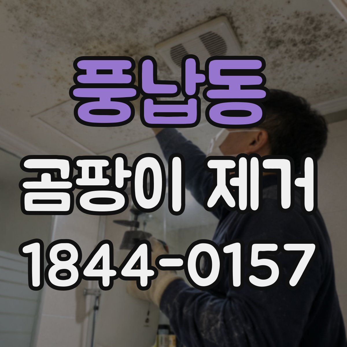 풍납동 곰팡이 제거