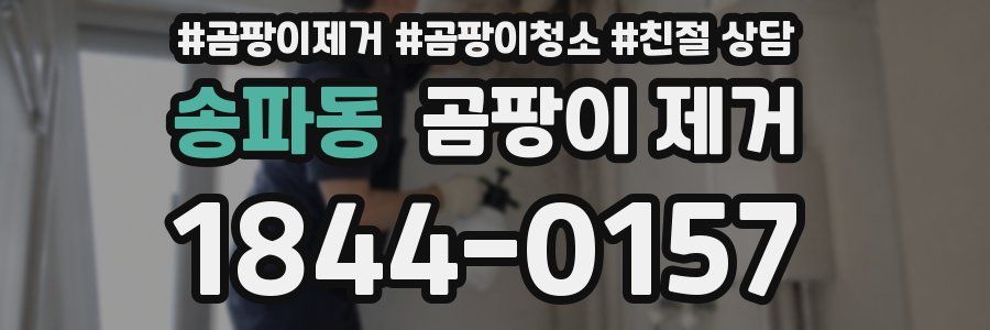 송파동 곰팡이 제거