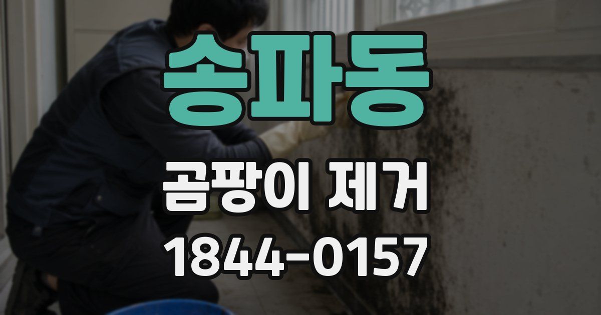 송파동 곰팡이 제거