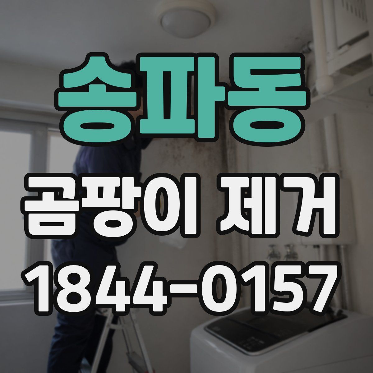 송파동 곰팡이 제거
