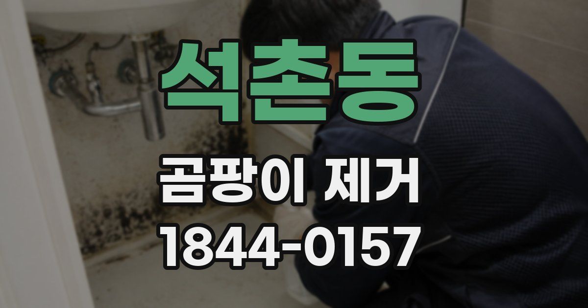 석촌동 곰팡이 제거