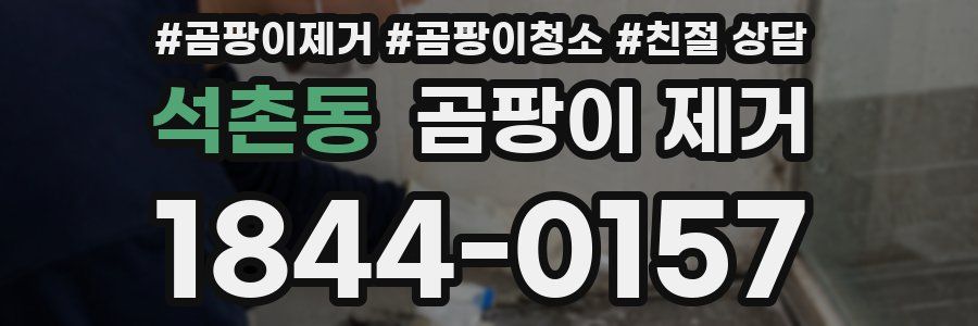 석촌동 곰팡이 제거
