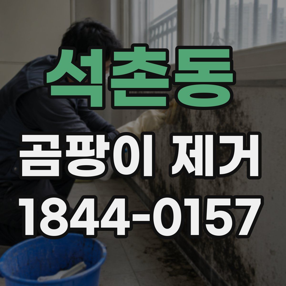 석촌동 곰팡이 제거