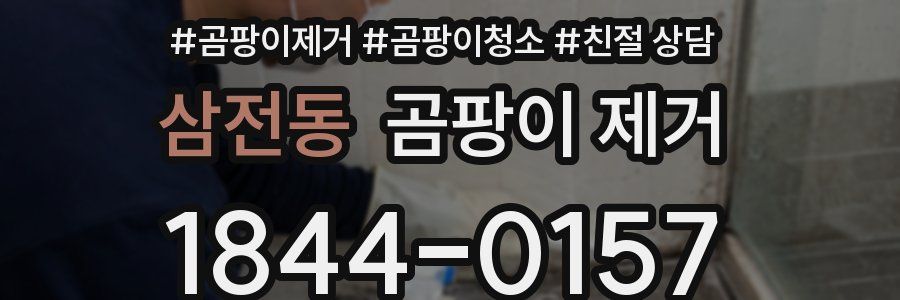 삼전동 곰팡이 제거