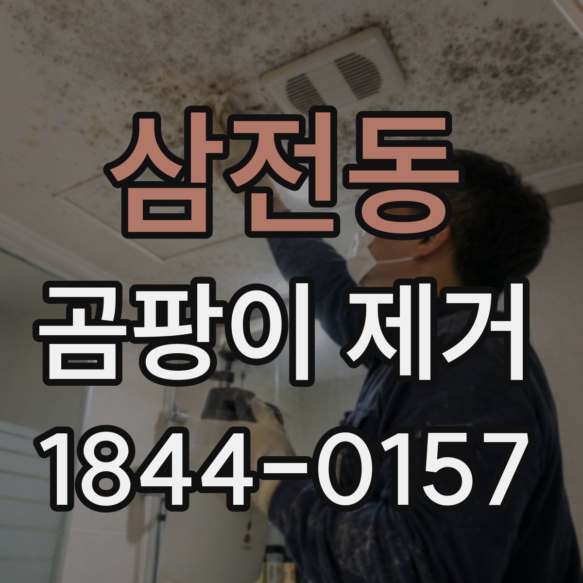 삼전동 곰팡이 제거