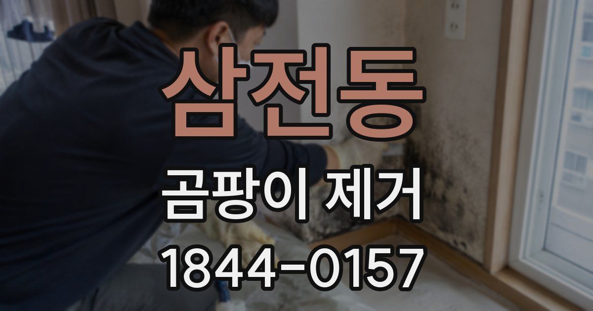 삼전동 곰팡이 제거