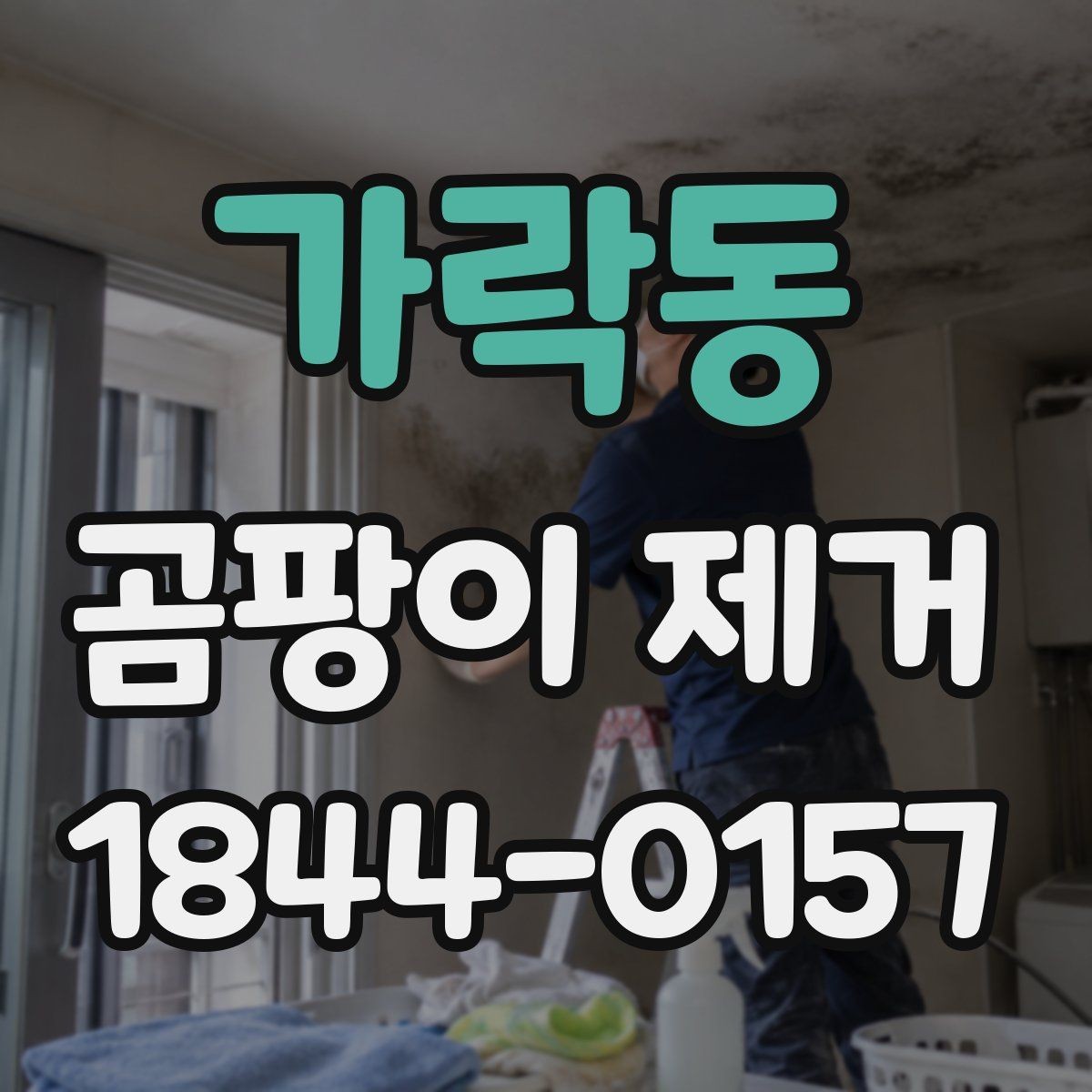 가락동 곰팡이 제거 청소 도구 고를 때 보는 기준