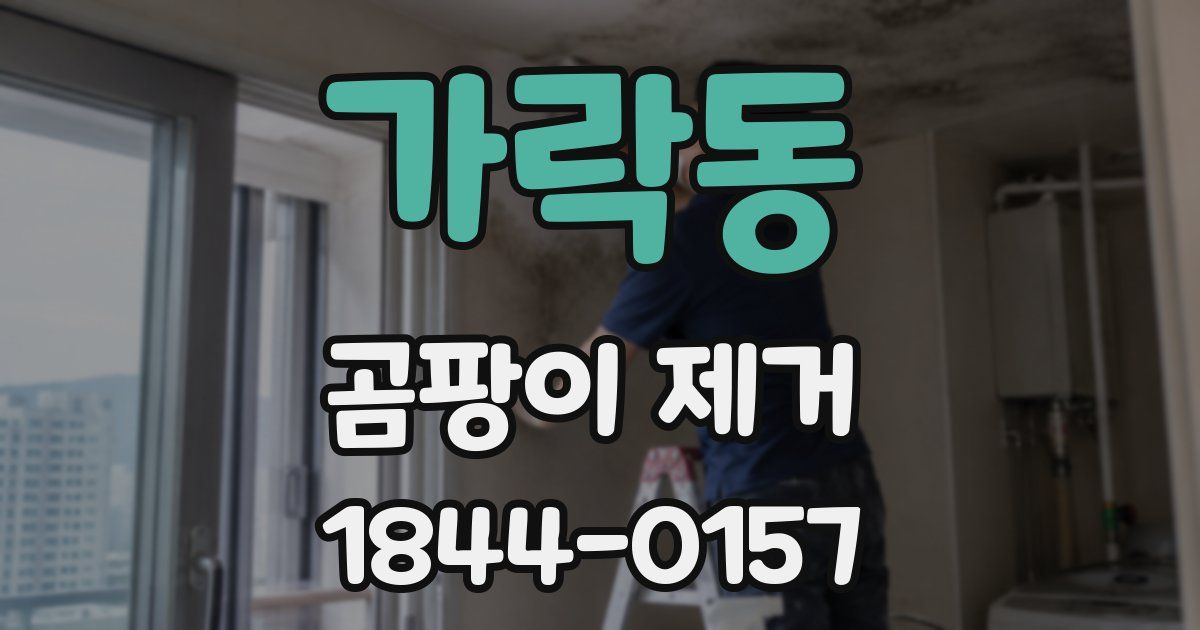 가락동 곰팡이 제거