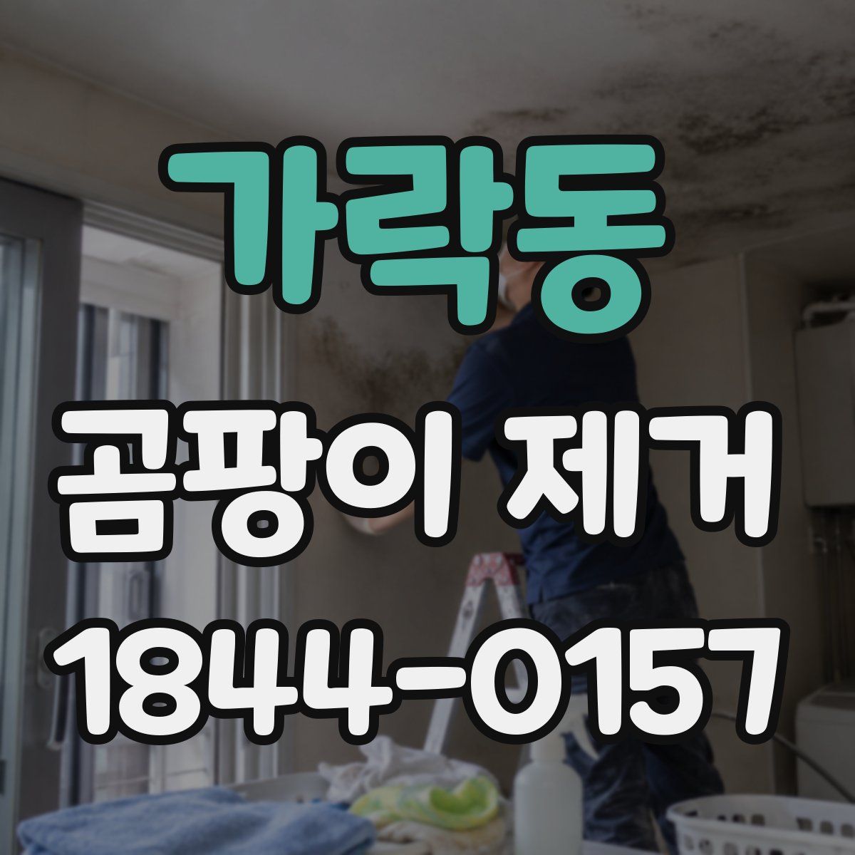 가락동 곰팡이 제거