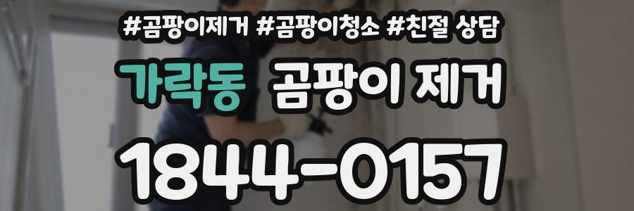 가락동 곰팡이 제거