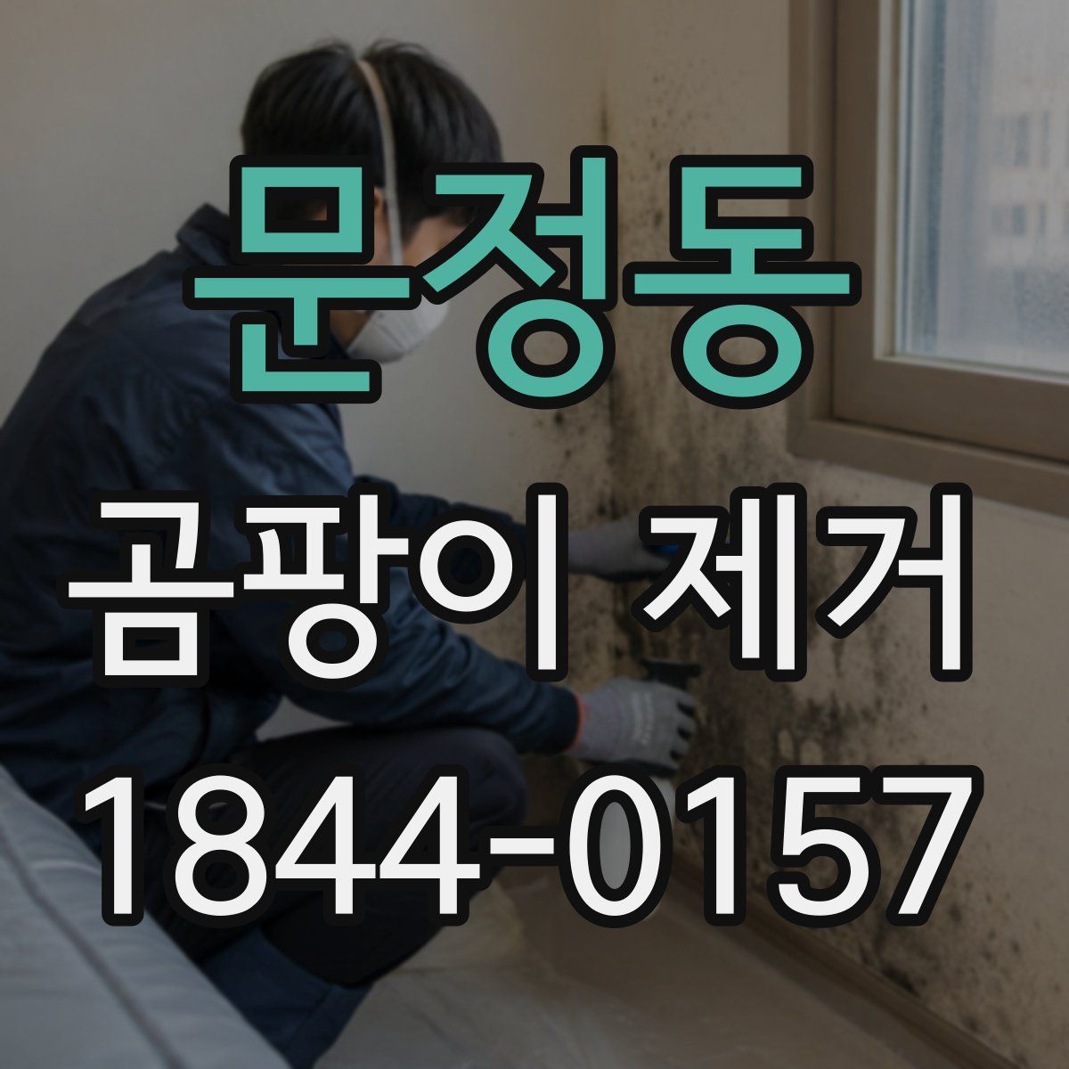 문정동 곰팡이 제거