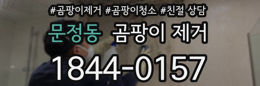 문정동 곰팡이 제거